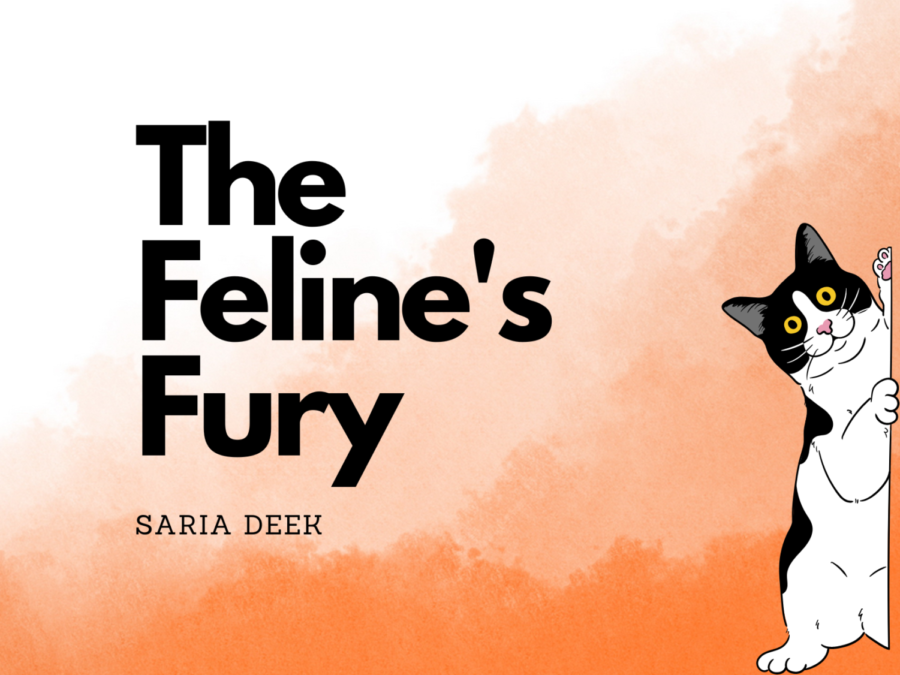 The Felines Fury